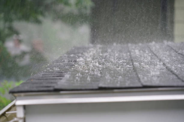 Best Skylight Installation and Repair  in Rutland, VT